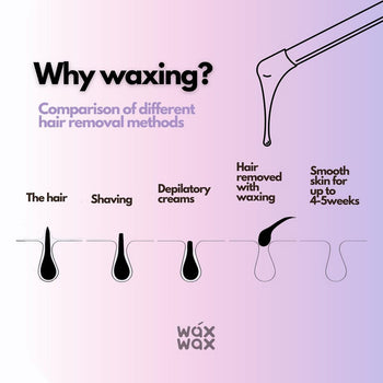 How Long Does Waxing Last – WAX WAX