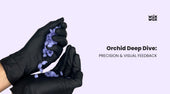Orchid Deep Dive: Precision & Visual Feedback